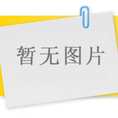 檢測中的汽車(chē)衡